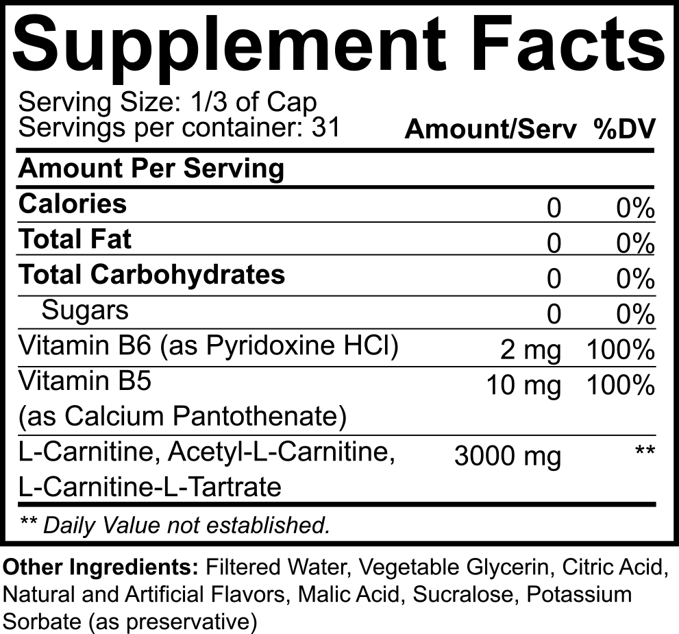 L-CARNITINE 3000