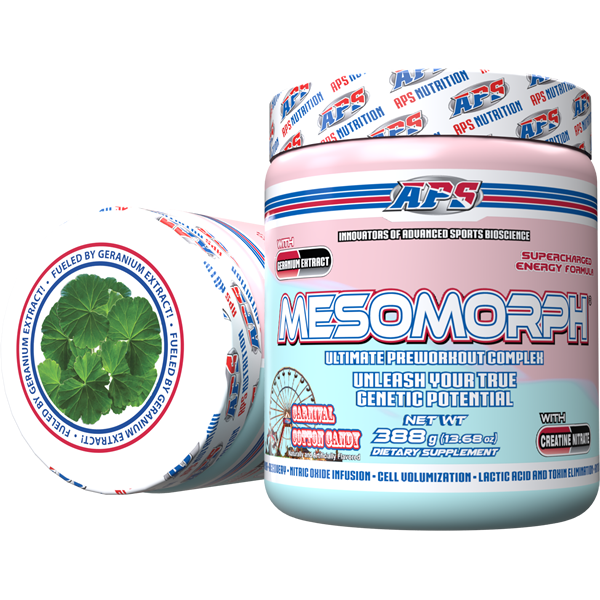 Mesomorph