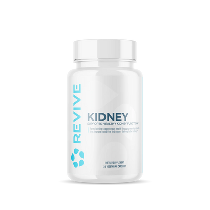 Kidney